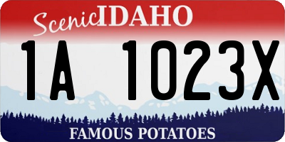 ID license plate 1A1023X