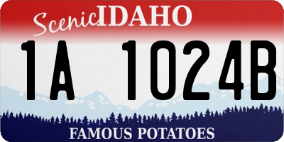 ID license plate 1A1024B