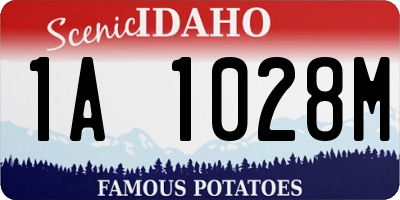 ID license plate 1A1028M