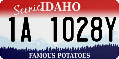 ID license plate 1A1028Y
