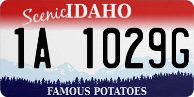 ID license plate 1A1029G