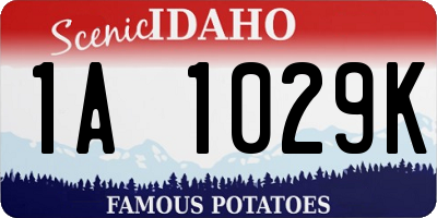 ID license plate 1A1029K