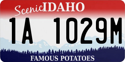 ID license plate 1A1029M