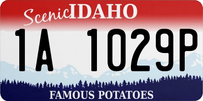 ID license plate 1A1029P