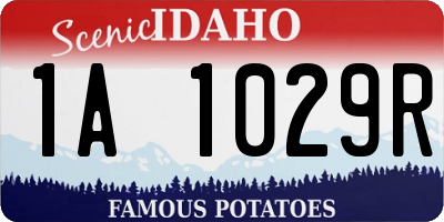 ID license plate 1A1029R