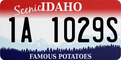 ID license plate 1A1029S