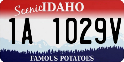 ID license plate 1A1029V