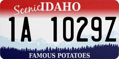 ID license plate 1A1029Z