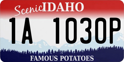 ID license plate 1A1030P