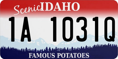 ID license plate 1A1031Q
