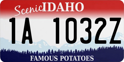 ID license plate 1A1032Z
