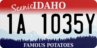 ID license plate 1A1035Y