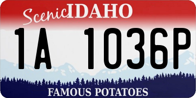 ID license plate 1A1036P