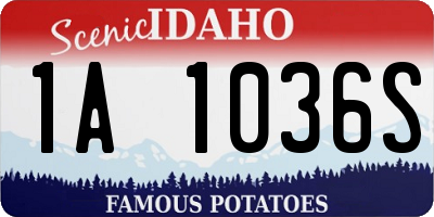 ID license plate 1A1036S