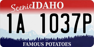 ID license plate 1A1037P