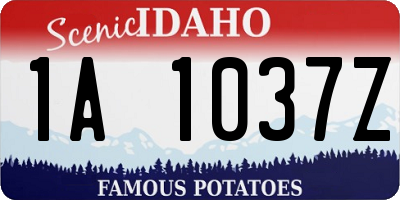 ID license plate 1A1037Z