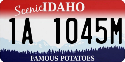ID license plate 1A1045M