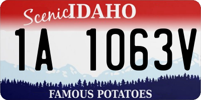 ID license plate 1A1063V