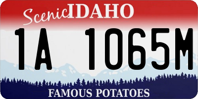 ID license plate 1A1065M