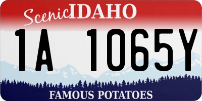ID license plate 1A1065Y