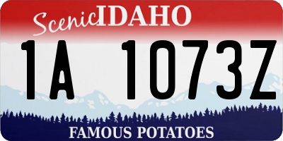 ID license plate 1A1073Z
