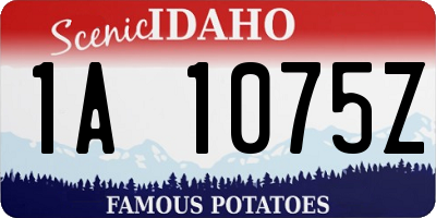 ID license plate 1A1075Z