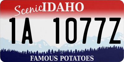 ID license plate 1A1077Z