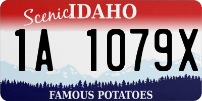 ID license plate 1A1079X