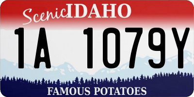 ID license plate 1A1079Y