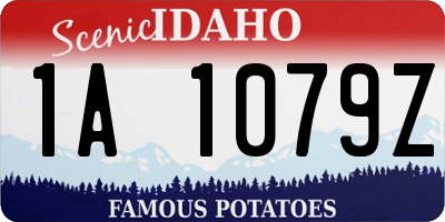 ID license plate 1A1079Z