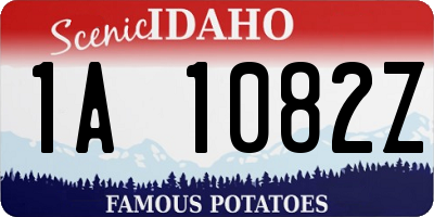 ID license plate 1A1082Z