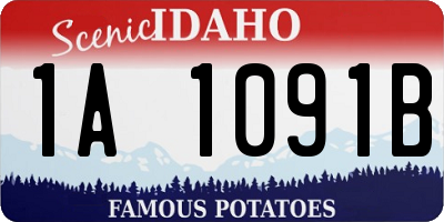 ID license plate 1A1091B