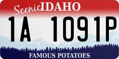 ID license plate 1A1091P