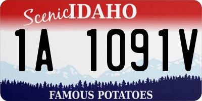 ID license plate 1A1091V