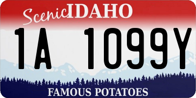 ID license plate 1A1099Y