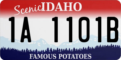 ID license plate 1A1101B