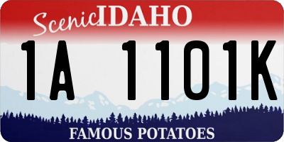ID license plate 1A1101K