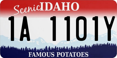 ID license plate 1A1101Y