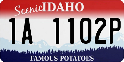 ID license plate 1A1102P