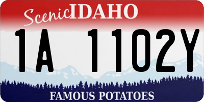 ID license plate 1A1102Y