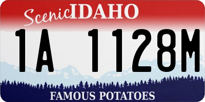 ID license plate 1A1128M