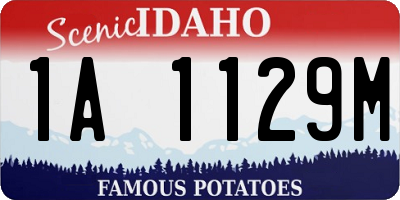 ID license plate 1A1129M