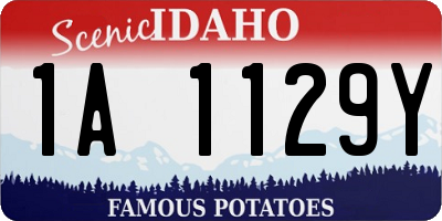 ID license plate 1A1129Y
