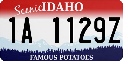 ID license plate 1A1129Z