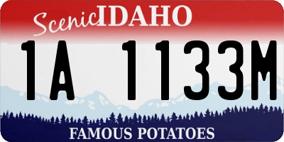 ID license plate 1A1133M
