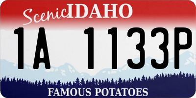 ID license plate 1A1133P