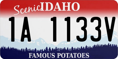 ID license plate 1A1133V