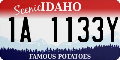 ID license plate 1A1133Y
