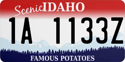 ID license plate 1A1133Z