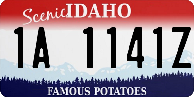 ID license plate 1A1141Z